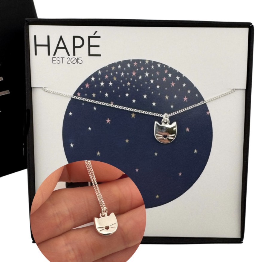 Sidabrinis pakabukas KAČIUKAS